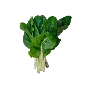 acelga