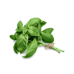 albahaca