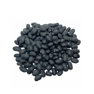 poroto negro