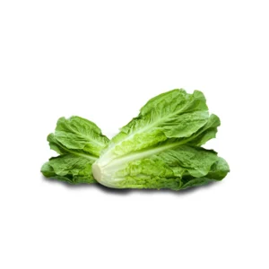 lechuga costina (unidad)