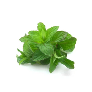 menta (unidad)