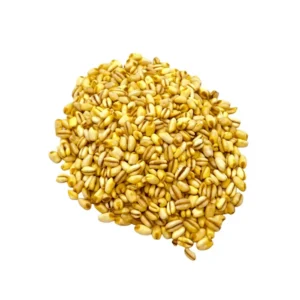 mote precocido (1 kilo)